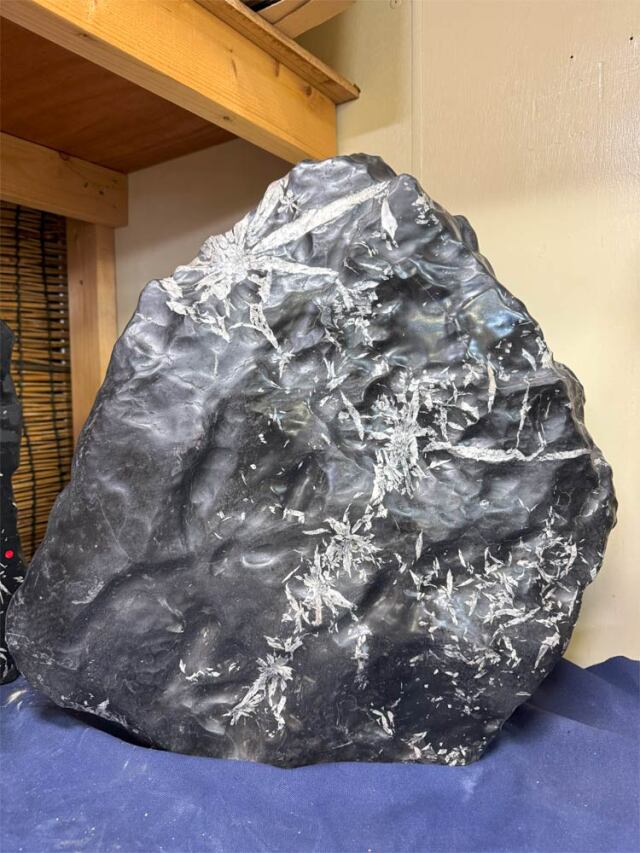 菊花石　【商品番号：m-kk043】