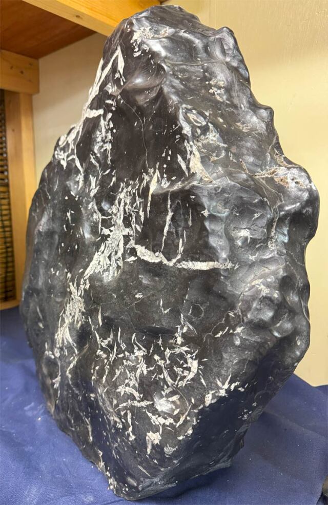 菊花石（きっかせき）の販売なら増樹です。