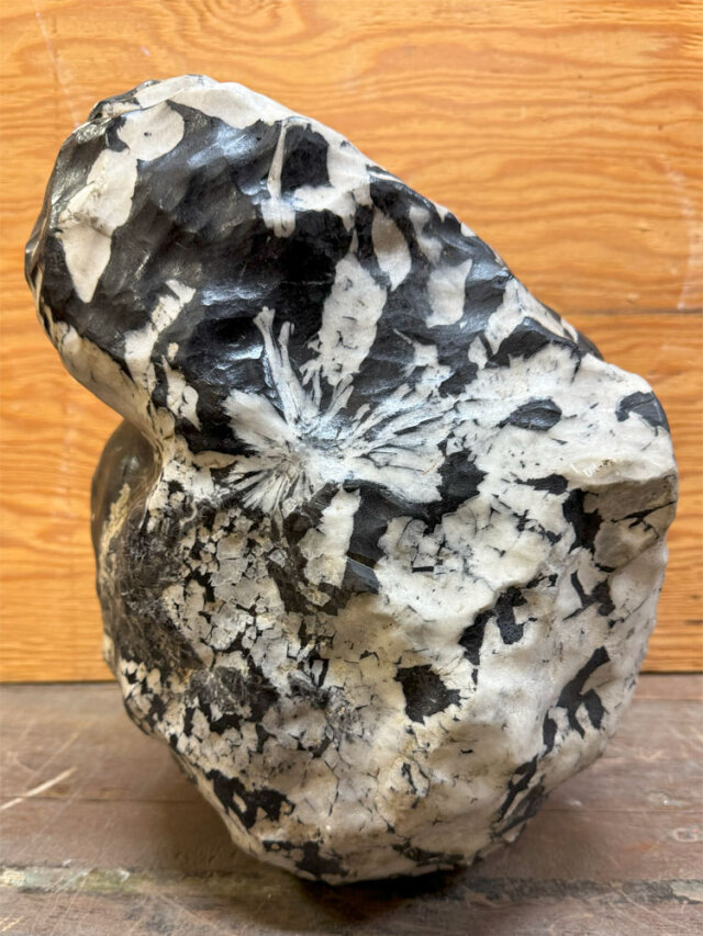 菊花石（きっかせき）の販売ページです。