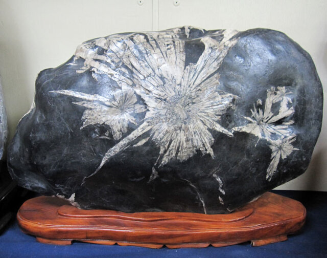 菊花石　【商品番号：m-kk056】