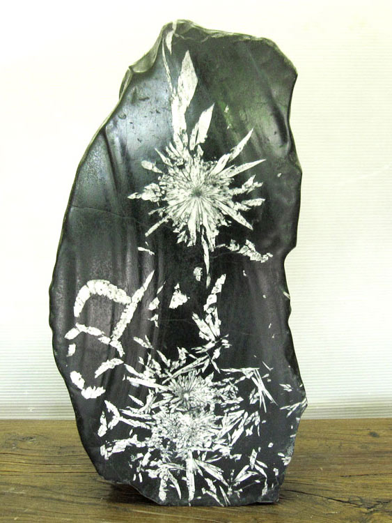 菊花石（きっかせき）の販売ページです。