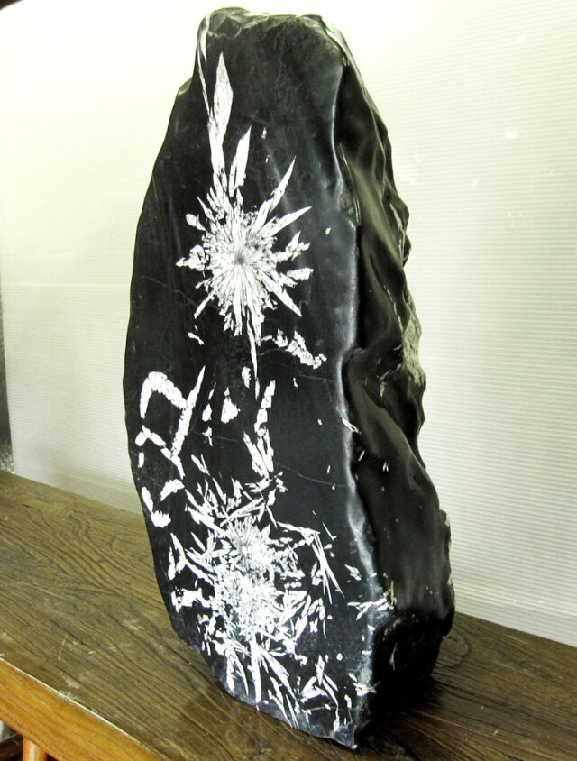 菊花石（きっかせき）の販売なら増樹です。