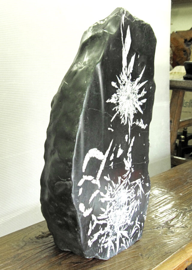 Jページ 菊花石 菊花石（きっかせき）の販売なら増樹です。