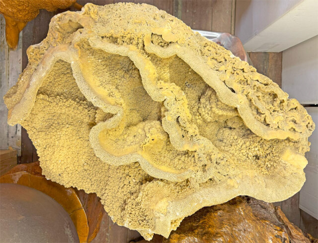 大自然が作り出した唯一無二の神秘な石 鍾乳石 【49】 stalactite 【※