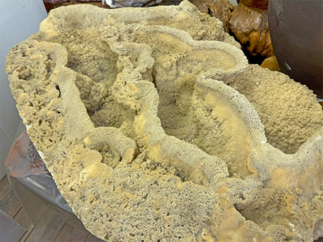 一点物・希少】鍾乳石 49 銘石 飾り石 置物 インテリア 鍾乳洞 石筍