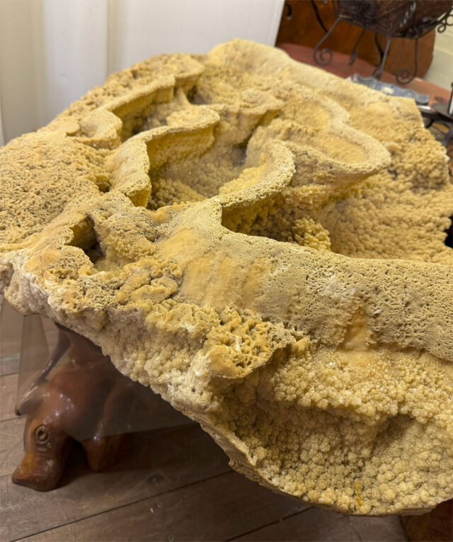 一点物・希少】鍾乳石 49 銘石 飾り石 置物 インテリア 鍾乳洞 石筍