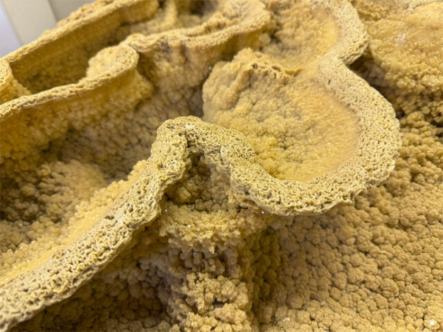 一点物・希少】鍾乳石 49 銘石 飾り石 置物 インテリア 鍾乳洞 石筍