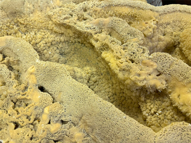 一点物・希少】鍾乳石 49 銘石 飾り石 置物 インテリア 鍾乳洞 石筍