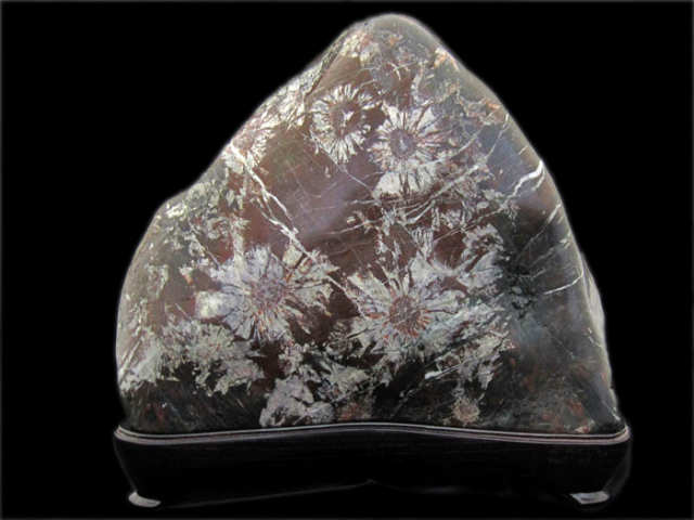 菊花石 販売・通販｜一点物の鑑賞石・庭石・菊紋様の至宝 [現物見学可