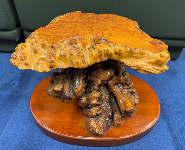 天然木 瘤（こぶ） 飾り台 花台 変木台 アウトレット 展示品 【商品