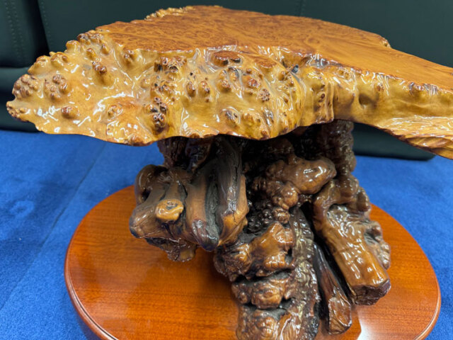 天然木 瘤（こぶ） 飾り台 花台 変木台 アウトレット 展示品 【商品