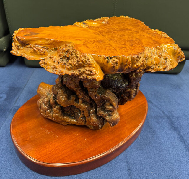 天然木 瘤（こぶ） 飾り台 花台 変木台 アウトレット 展示品 【商品