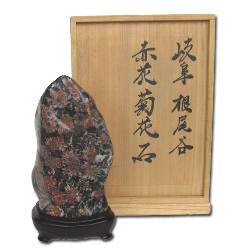 根尾谷