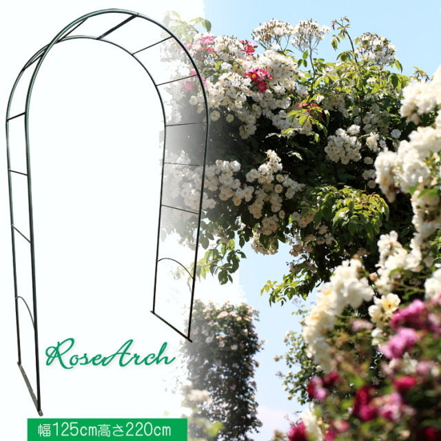 ローズアーチ