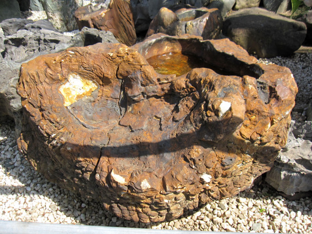 木化石 蹲 050 手水鉢 水鉢 銘石 珪化木 幅111cm 一点物 庭石 景石