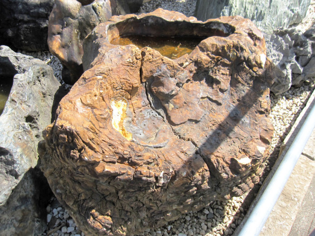 木化石 蹲 050 手水鉢 水鉢 銘石 珪化木 幅111cm 一点物 庭石 景石