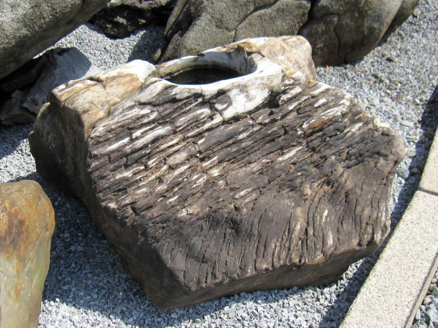 木化石 蹲 057 ツクバイ 手水鉢 一点物 水鉢 銘石 珪化木 販売 幅66cm