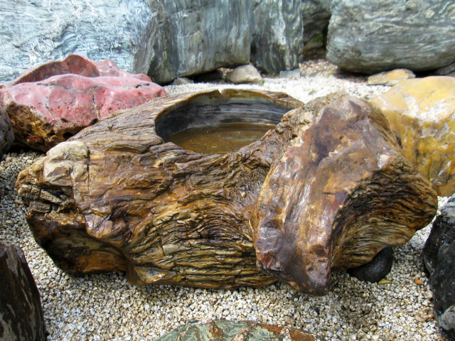 木化石 蹲 052 手水鉢 水鉢 一点物 銘石 販売 珪化木 幅95cm 庭石 景石