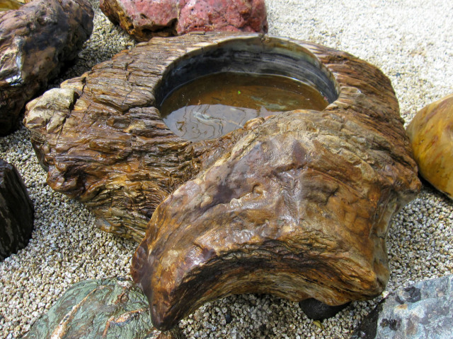 木化石 蹲 052 手水鉢 水鉢 一点物 銘石 販売 珪化木 幅95cm 庭石 景石