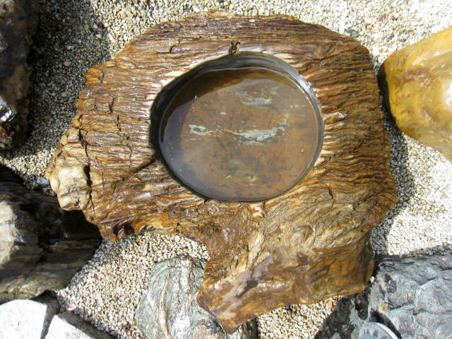 木化石 蹲 052 手水鉢 水鉢 一点物 銘石 販売 珪化木 幅95cm 庭石 景石