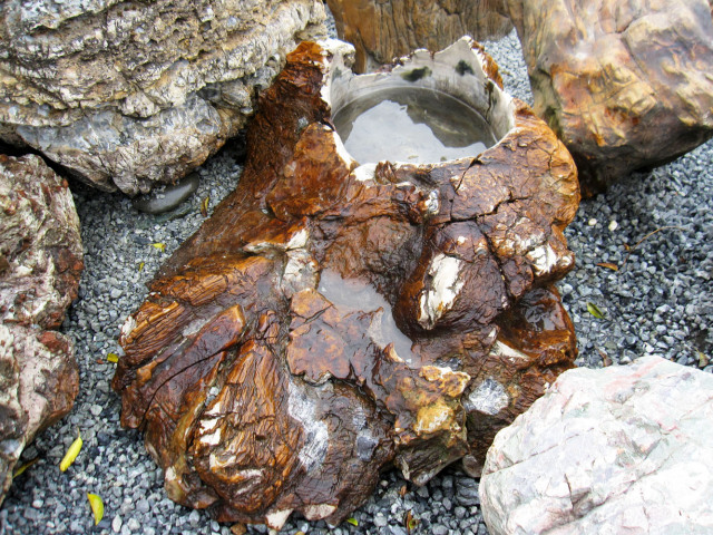 木化石 蹲 054 手水鉢 水鉢 銘石 珪化木 幅108cm 一点物 庭石 景石