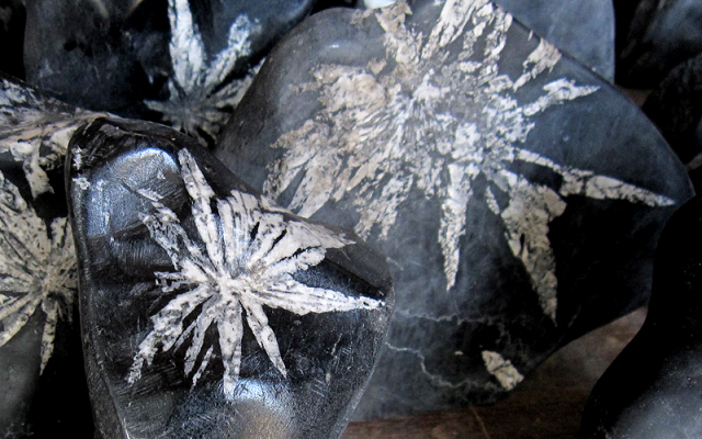 菊花石（きっかせき）まとめて100個で販売いたします。