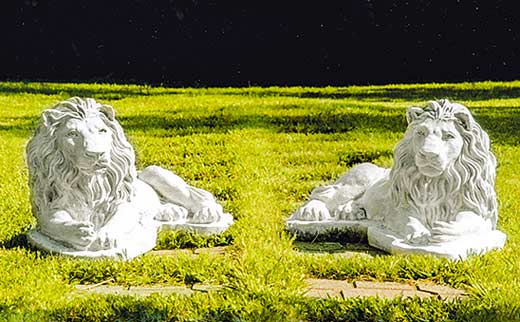 寝そべるライオン