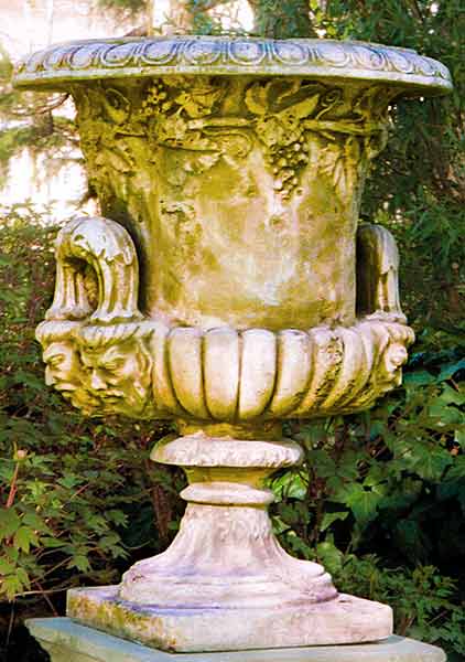 タルス　クラシック