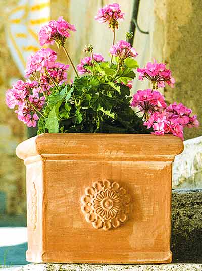 テラコッタ・素焼】プランター・フラワーポット・植木鉢・大型