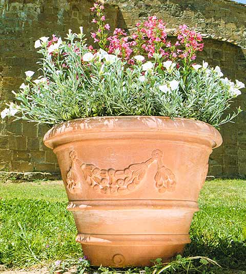 フェストナート・トスカーノ