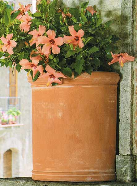 壁置きリッシオ