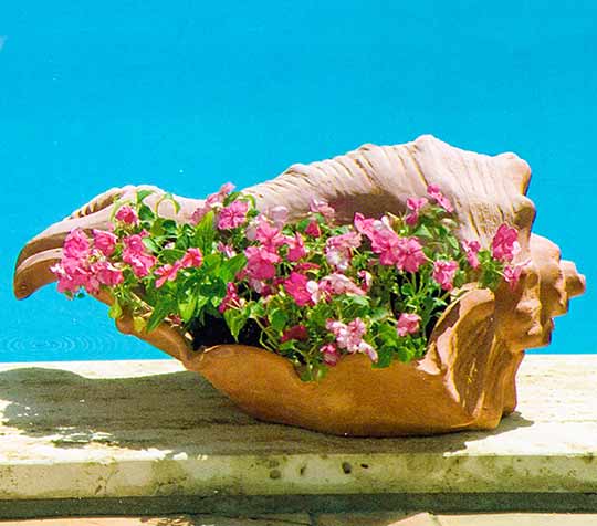 シェル型プランター