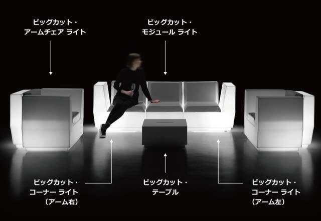 ビッグ　カット ライト