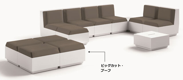 ビッグ　カット