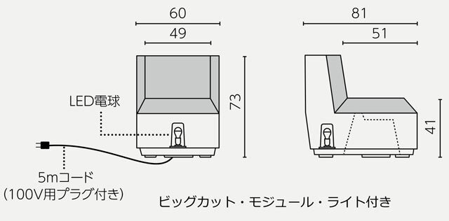 ビッグ　カット ライト