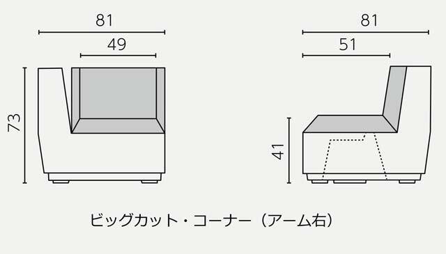 ビッグ　カット