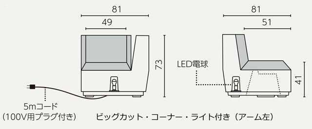 ビッグ　カット ライト