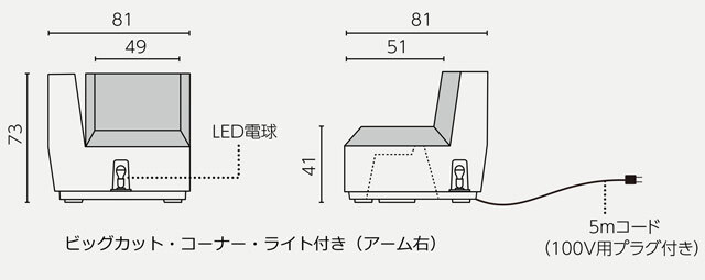 ビッグ　カット ライト