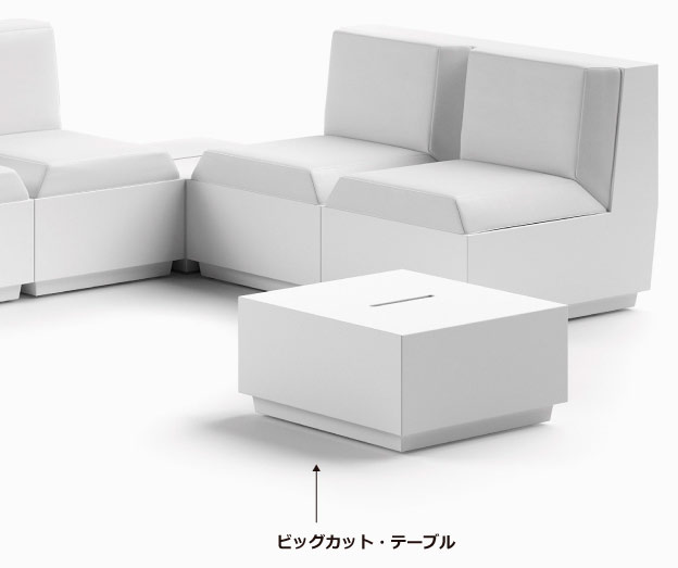 ビッグ　カット