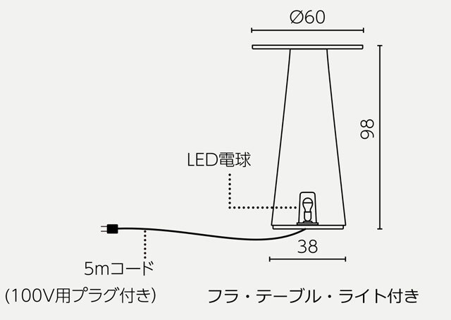 フラ　テーブル　ライト