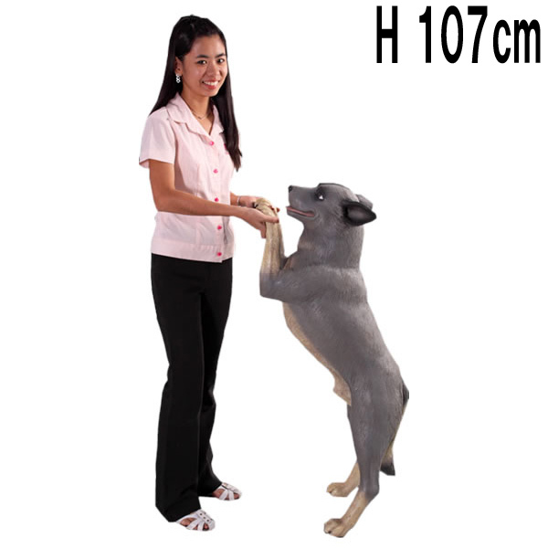 立つ従順な犬 / Standing Blue Heeler  FRPアートオブジェ 【商品番号：m-fr080073】