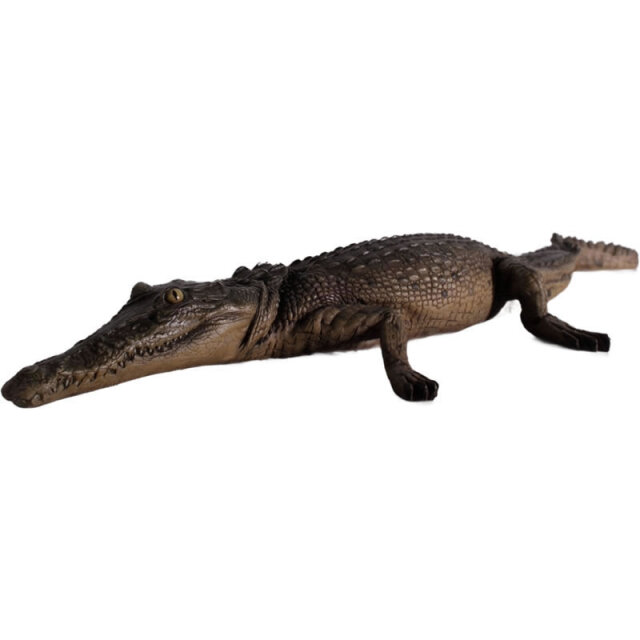 クロコダイル ワニ オブジェ