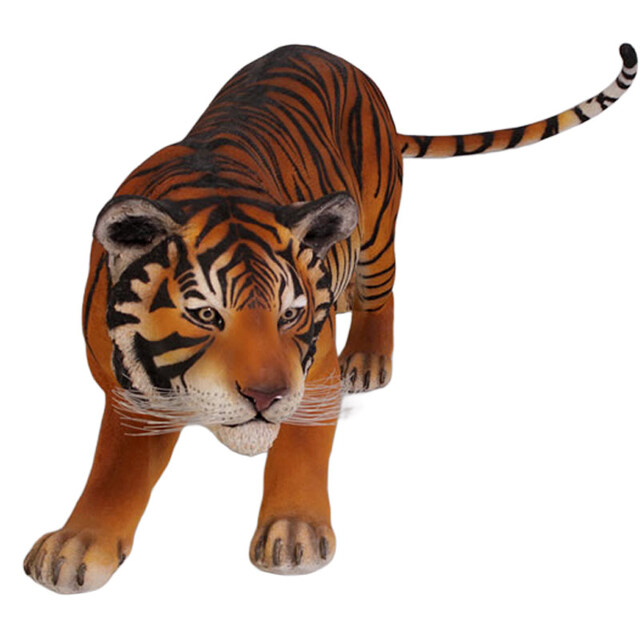 挑むベンガルタイガー Bengal Tiger FRPアートオブジェ【商品番号：m-fr080120】