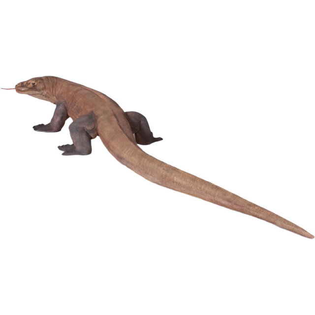 コモドドラゴン Komodo Dragon FRP恐竜オブジェ【商品番号：m-fr080121】