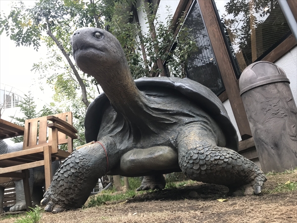 リクガメ オブジェ 亀