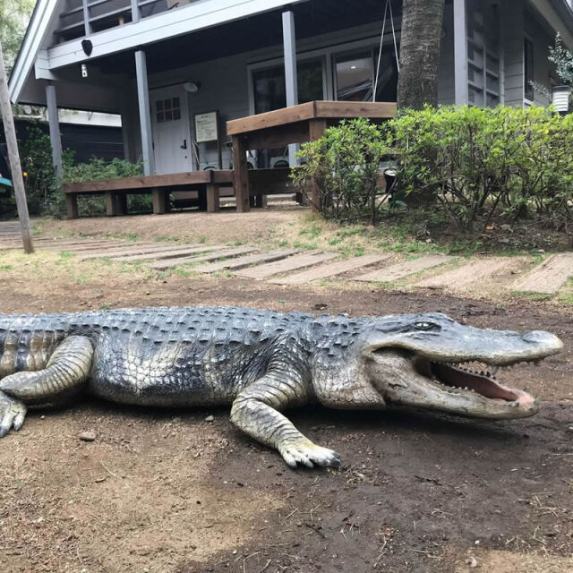 クロコダイル ワニ オブジェ アメリカ 鰐