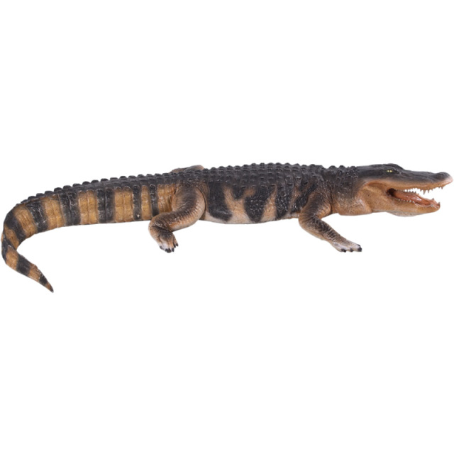 クロコダイル ワニ オブジェ アメリカ 鰐