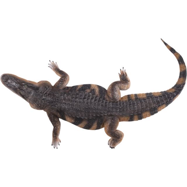 クロコダイル ワニ オブジェ アメリカ 鰐
