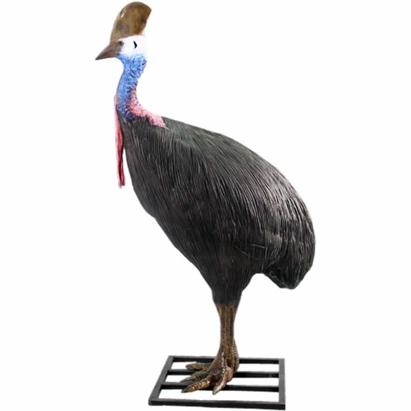 ヒクイドリ オブジェ