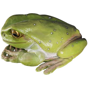 カエル オブジェ
